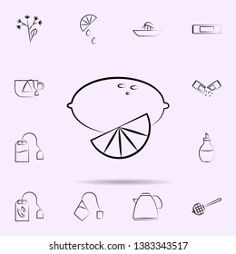 Lemon icon. Universal set of tea for website design and development, app development