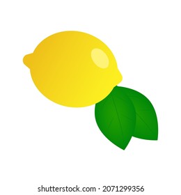 A lemon icon in vector 