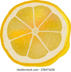 Lemon Icon Vector . Graphic illustrations isolated on white background .