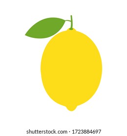 Lemon icon vector illustration isolated on white background.