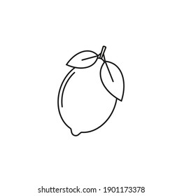 Lemon icon. Vector. Line style.