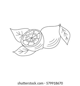 Lemon icon, vector sketch illustration, isolated on white background.