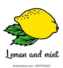 Lemon icon, whole and mint leaves, isolated on a white background. For web, print, product design, lemon logo. Doodle, line, contour. Vector hand-drawn flat illustration.