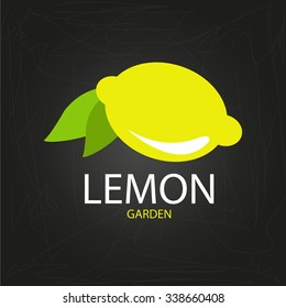 Lemon icon,logo. Flat design style modern .lemon fruits on black vector illustration