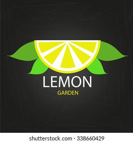 Lemon icon,logo. Flat design style modern .lemon fruits on black vector illustration