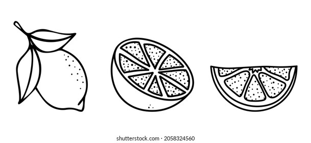 Lemon icons set. Simple design. Lime icons. Vector illustration in doodle style isolated on white background. Citrus design element for postcard, logo, icon, web.