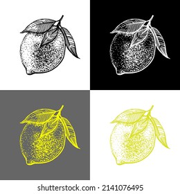 Ilustración limón con colores diferentes