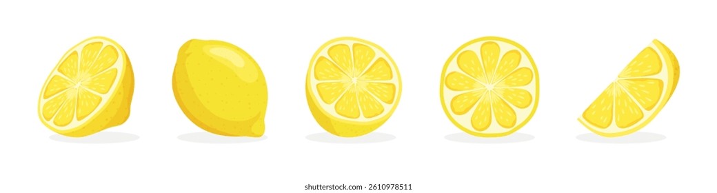 Lemon Illustration. Fresh Lemon Vector Illustrations with Slices