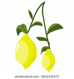 Lemon illustration, Lemon fruit with stem and leaves, lemon flat design