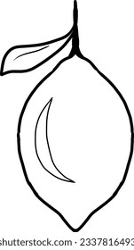 A lemon illustration lemon ilustrasi vector