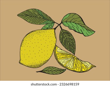 Lemon illustration image. 
Hand drawn image artwork of a lemon. 
Simple cute original logo.
Hand drawn vector illustration for posters, cards, t-shirts.