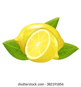 Lemon illustration with leaves. Vector