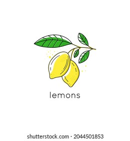 Lemon illustration on a white background. Isolated vector. Great for packaging, logo, invitation, flyer, menu, brochure or any desired idea.