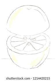 Lemon illustration in simple line isolated on white background
