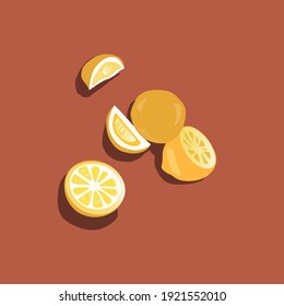 Lemon illustration. Vector graphics. Art