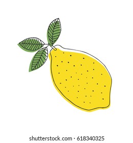Lemon illustration. Vector. Isolated.