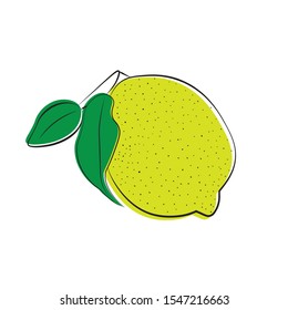 Lemon illustration vector on a white background
