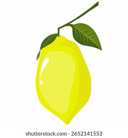Lemon illustration,lemon with leaf,lemon flat design