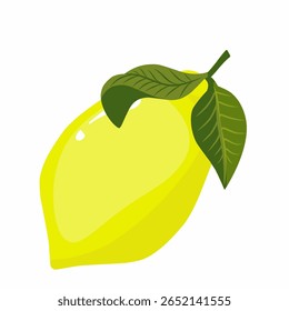 Lemon illustration,lemon with leaf,lemon flat design