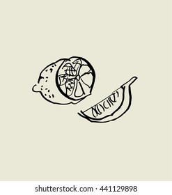 Ã?Â�ut lemon image. food hand drawn sketch vector illustration.