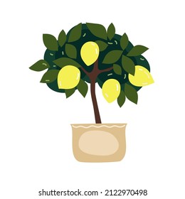 Lemon indoor tpee for interior home and office, cartoon flat vector element design.