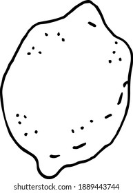 Lemon. Isolated element for recipe, summer menu, design. Hand drawn vector illustration on a white background. 