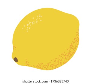 Lemon isoliert auf einem weißen Hintergrund. Texturierte Schale. Flachdesign. Vector-Abbildung.