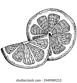 lemon isolated on white background.  Organic essential oil engraved style sketch. Beauty and spa, cosmetic ingredient. Great for label, poster, flyer, packaging