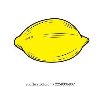 Lemon isolated on white background. Vector illustration.