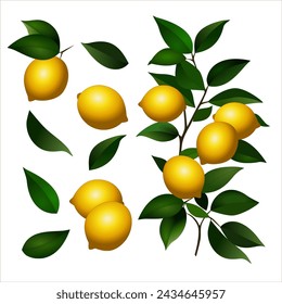 Limón aislado sobre un fondo blanco, colección. dibujo de limones individuales, un par, un grupo grande con hojas. ilustración vectorial