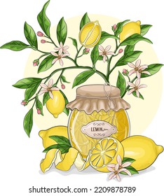 Zitronenmarmelade mit Baumzweig-Cartoon, Vektorgrafik. Exotische Früchte und Blumen mit Blätterskizze. Natürliche Komposition mit hausgemachter Marmelade, schmackhaftem Zitruskonserven. Zitronenkonserven