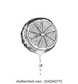 Lemon. Lemon juice drips down half a lemon. Hand drawn sketch. Vector illustration isolated on white