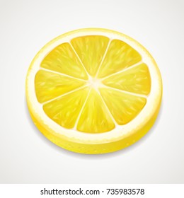 Lemon juicy slice realistic fruit
