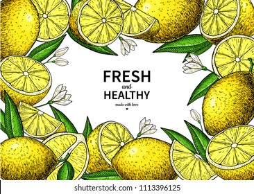 Lemon label vector drawing. Citrus fruit frame template. Hand drawn summer illustration. Banner, packaging design concept. Great for tea, juice, natural cosmetics, lemonade