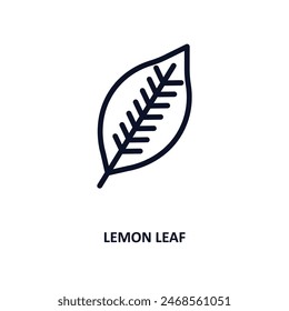 lemon leaf icon. Thin line lemon leaf icon from nature collection. Outline vector isolated on white background. Editable lemon leaf symbol can be used web and mobile