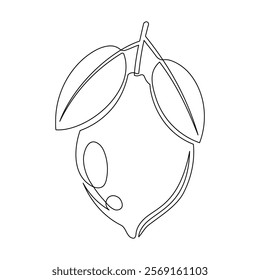 Lemon with leaf isolated on white background. Simple citrus silhouette. Hand drawn lemon outline. Vector illustration