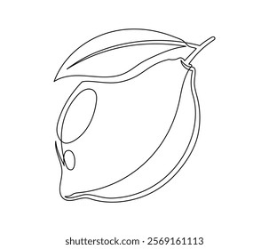 Lemon with leaf isolated on white background. Simple citrus silhouette. Hand drawn lemon outline. Vector illustration