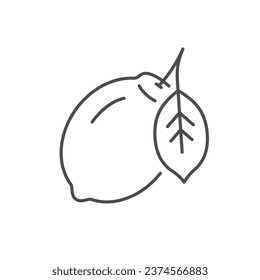 Lemon with leaf line icon