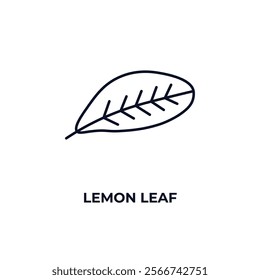 lemon leaf outline icon. Linear vector from nature concept. Thin line lemon leaf icon isolated on white background