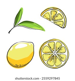 Lemon with leaves, beautiful color illustration with outline, flat design, hand-drawn, isolated, vector. Graphic Botanical Drawing of Citrus Yellow Ripe Fruit for Decoration, Cover, Label, Design