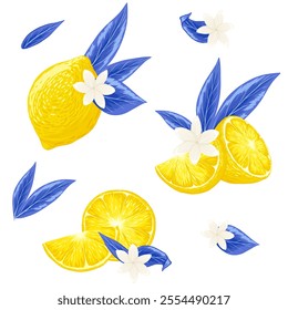 Lemon, leaves composition vector illustration set. Lemon, blue leaves, jasmine flower for Menton lemons festival. Fruits for lemonade, juice, cocktail. Trendy retro print on white background