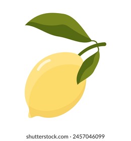 Lemon with leaves in flat style. Sour fresh fruit. Vector illustration.