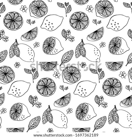Lemon leaves flowers pattern doodle hand drawn graphics vector