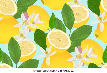 Lemon leaves, flowers vector jungle on blue background - seamless pattern