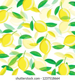 Lemon leaves green and yellow, lined beautifully. White background