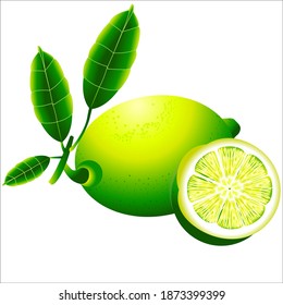 limón con hojas de medio corte