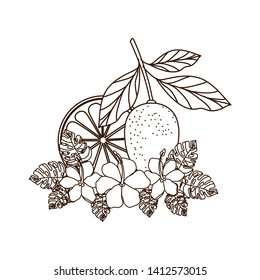 lemon with leaves isolated icon