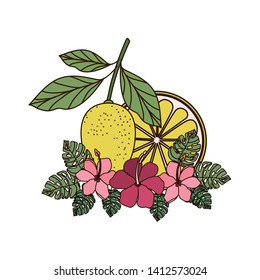 lemon with leaves isolated icon