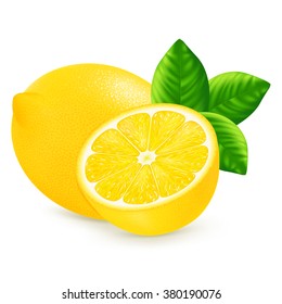 Lemon with leaves isolated on white background. Vector illustration for decorative poster, emblem natural product, farmers market. Perfect for packaging design of cosmetics and food.