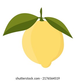 Lemon with leaves minimalism. Sour fresh lemon fruit. Vector illustration